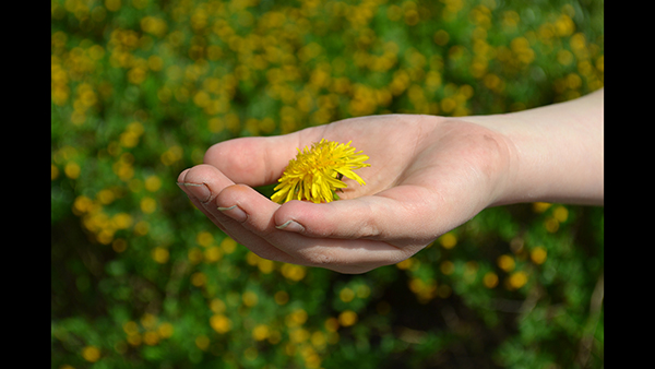 photo of a boy holding a flower
